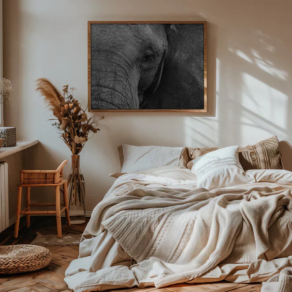 Fakta om Serengeti – Utforsk Globefellas Fotoplakat-Kolleksjon